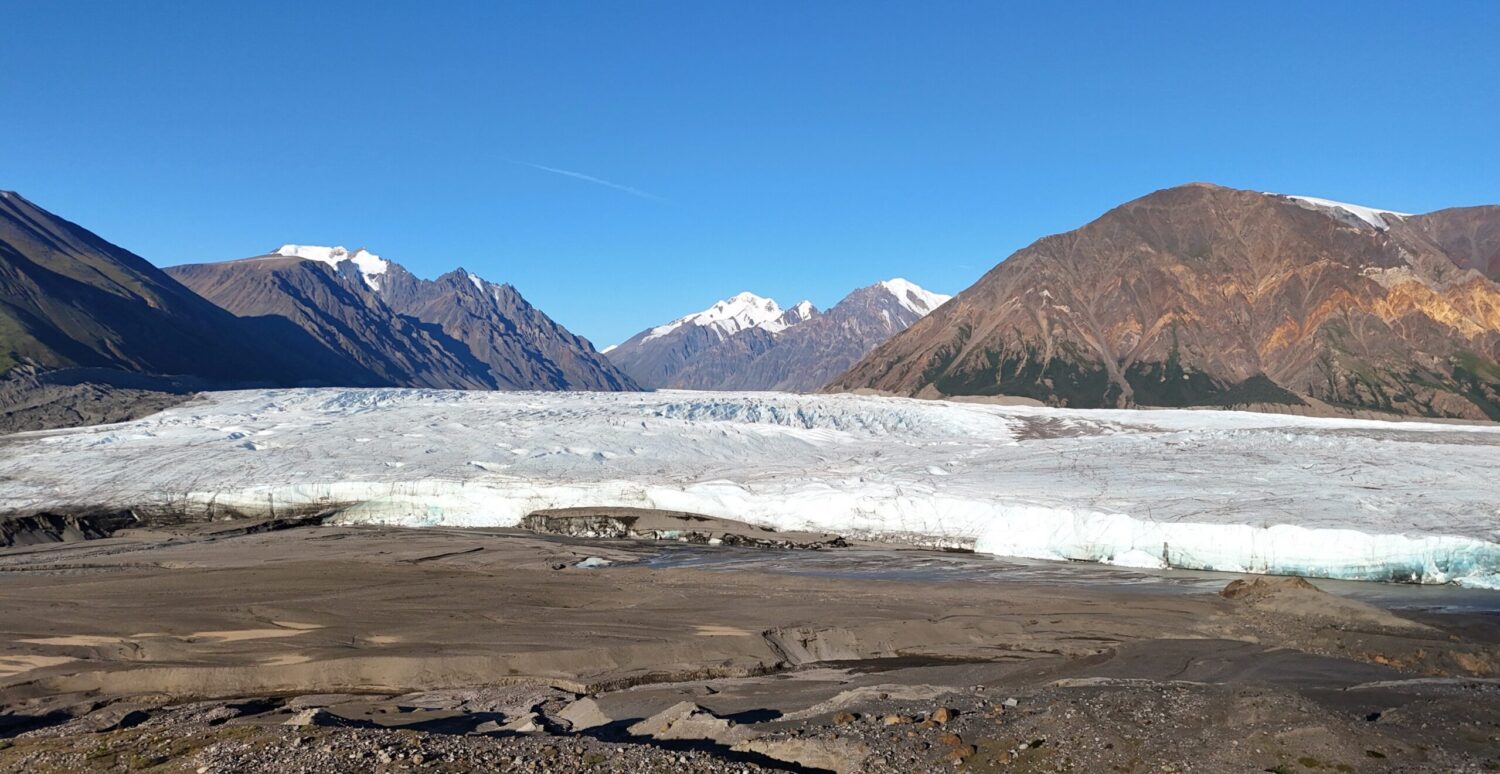 You are in bear country